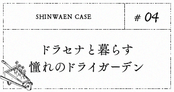 #04. ドラセナと暮らす憧れのドライガーデン
